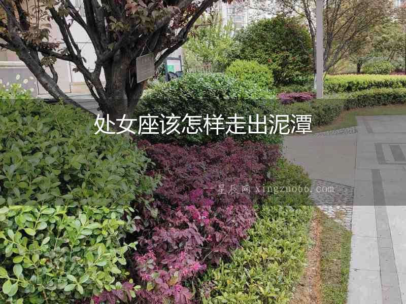 處女座該怎樣走出泥潭