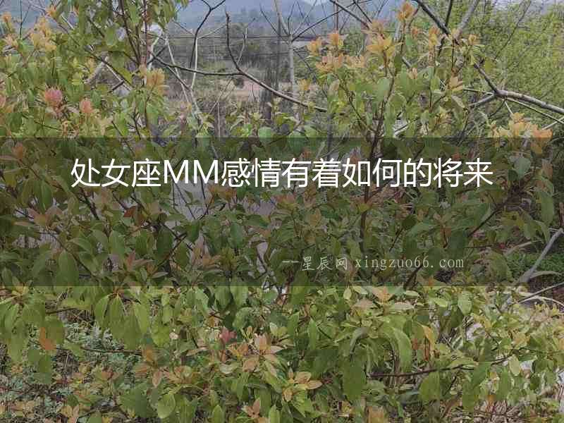 處女座MM感情有著如何的將來