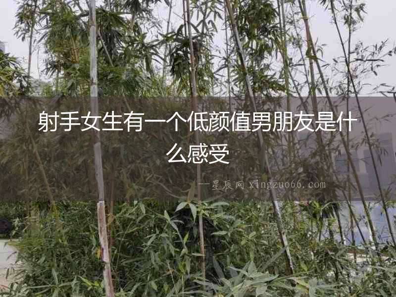 射手女生有一個低顏值男朋友是什么感受