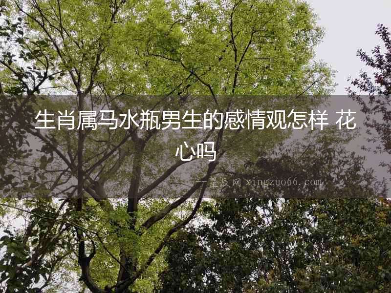 生肖屬馬水瓶男生的感情觀怎樣 花心嗎