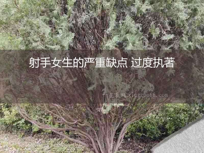 射手女生的嚴重缺點 過度執(zhí)著