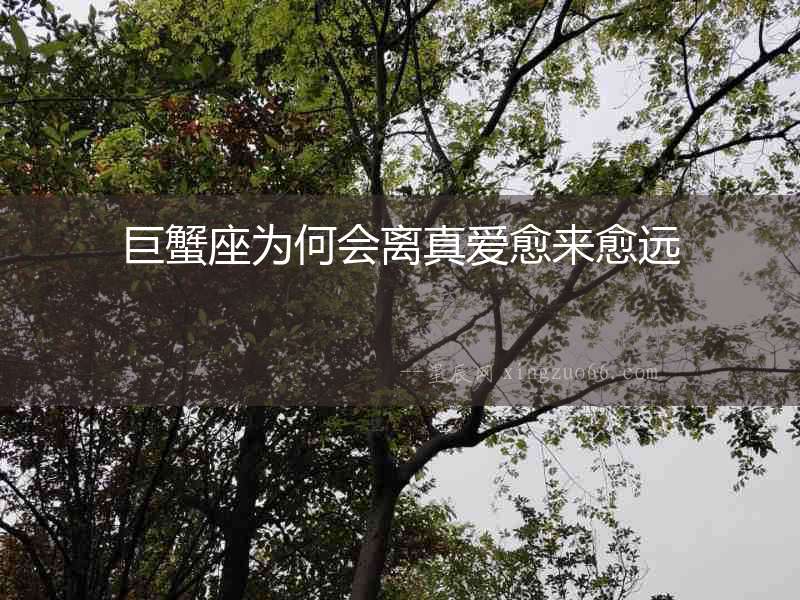 巨蟹座為何會離真愛愈來愈遠
