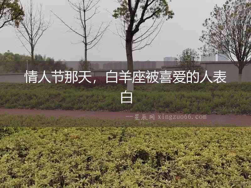 情人節那天，白羊座被喜愛的人表白