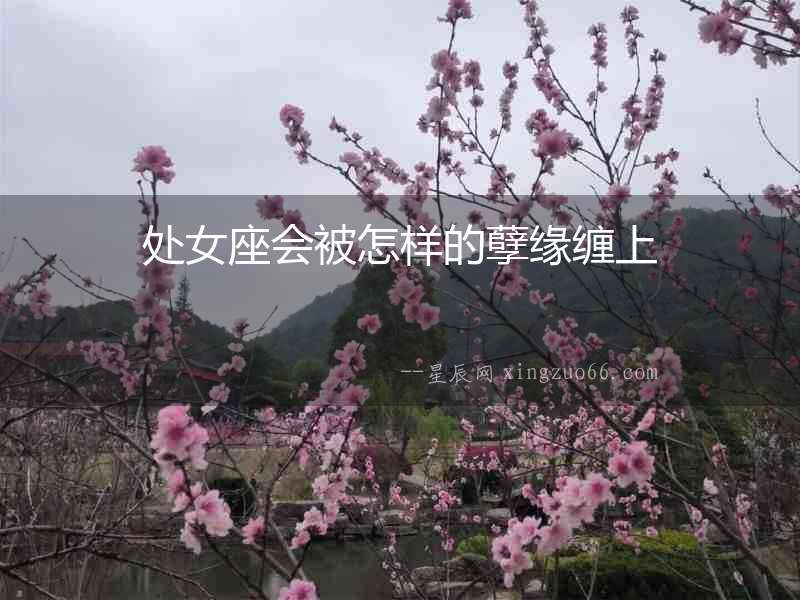處女座會被怎樣的孽緣纏上