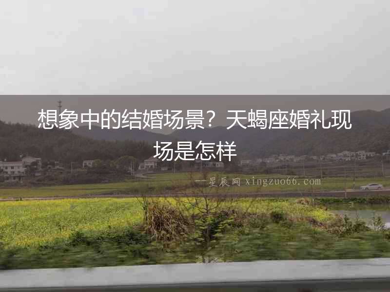 想象中的結婚場景？天蝎座婚禮現場是怎樣