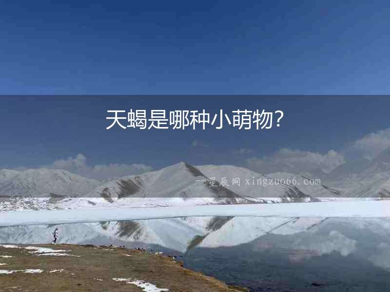天蝎是哪種小萌物？