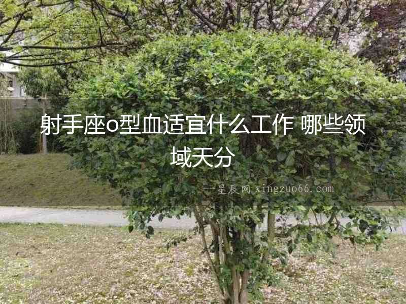 射手座o型血適宜什么工作 哪些領域天分