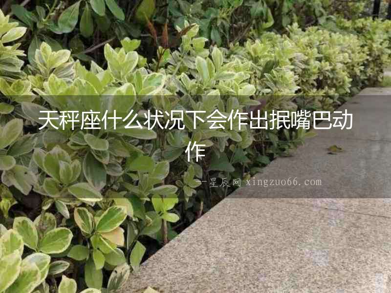 天秤座什么狀況下會作出抿嘴巴動作