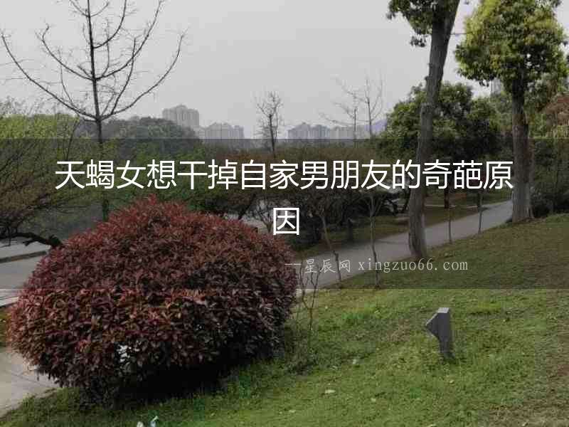 天蝎女想干掉自家男朋友的奇葩原因