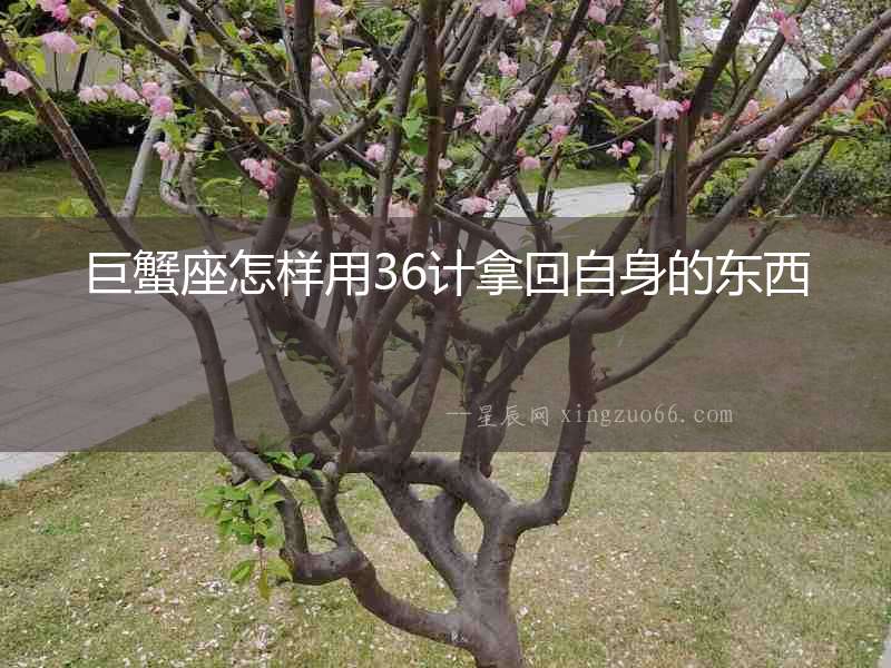 巨蟹座怎樣用36計拿回自身的東西