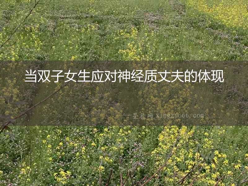 當雙子女生應對神經質丈夫的體現