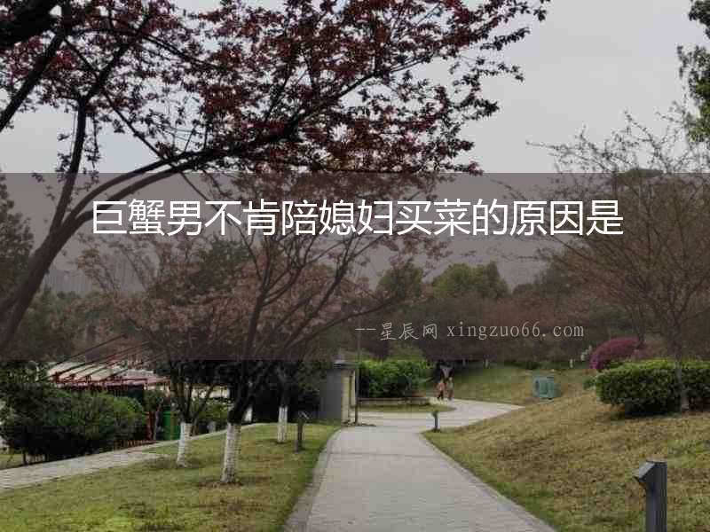 巨蟹男不肯陪媳婦買菜的原因是