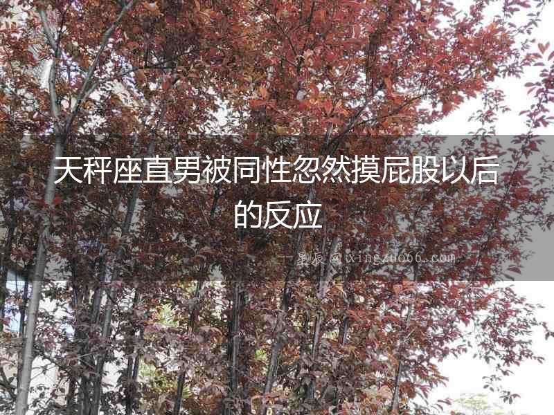 天秤座直男被同性忽然摸屁股以后的反應