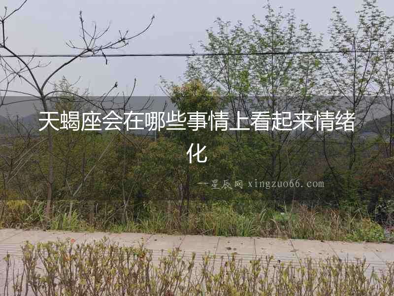 天蝎座會在哪些事情上看起來情緒化