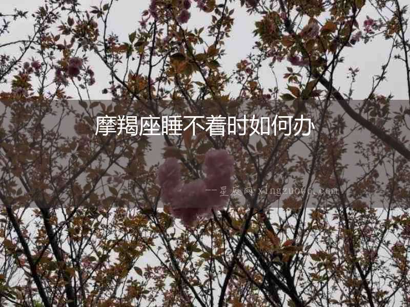 摩羯座睡不著時如何辦
