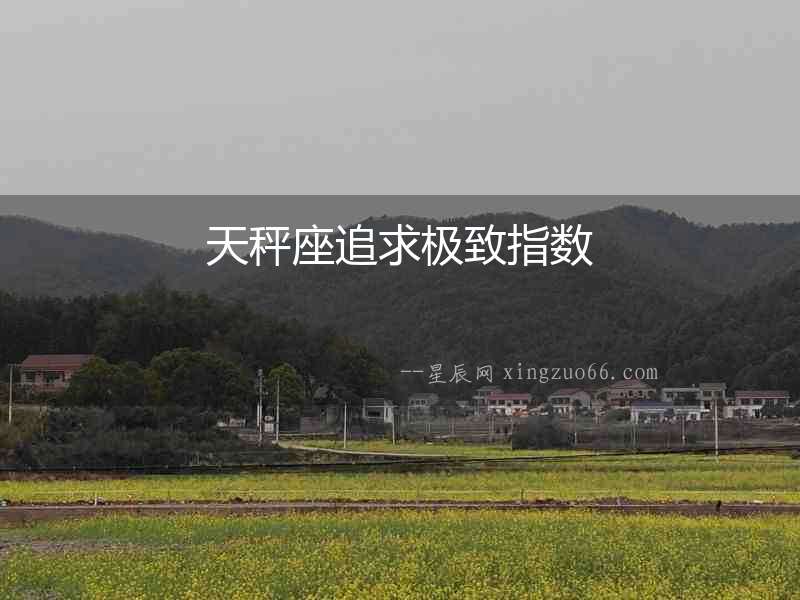 天秤座追求極致指數