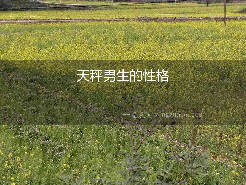 天秤男生的性格
