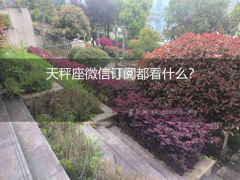 天秤座微信訂閱都看什么？