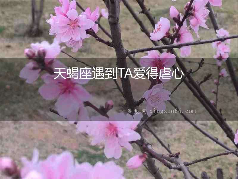 天蝎座遇到TA愛得虐心