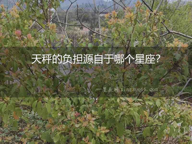 天秤的負擔(dān)源自于哪個星座？