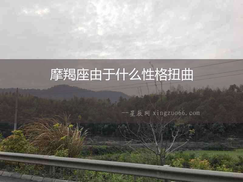 摩羯座由于什么性格扭曲