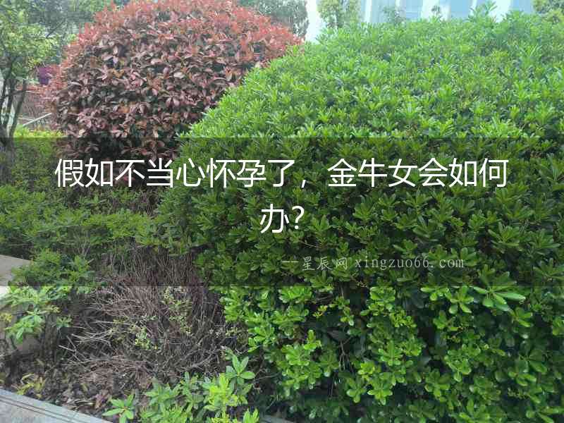 假如不當心懷孕了，金牛女會如何辦？