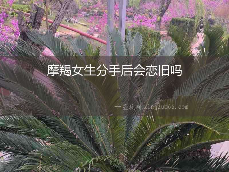 摩羯女生分手后會戀舊嗎