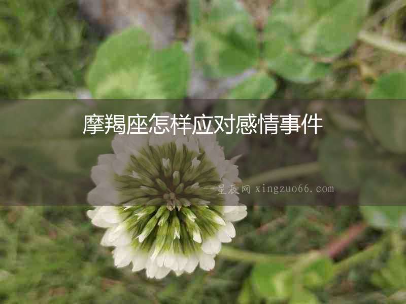 摩羯座怎樣應(yīng)對(duì)感情事件