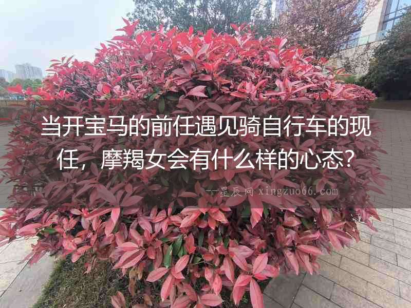 當開寶馬的前任遇見騎自行車的現任，摩羯女會有什么樣的心態？