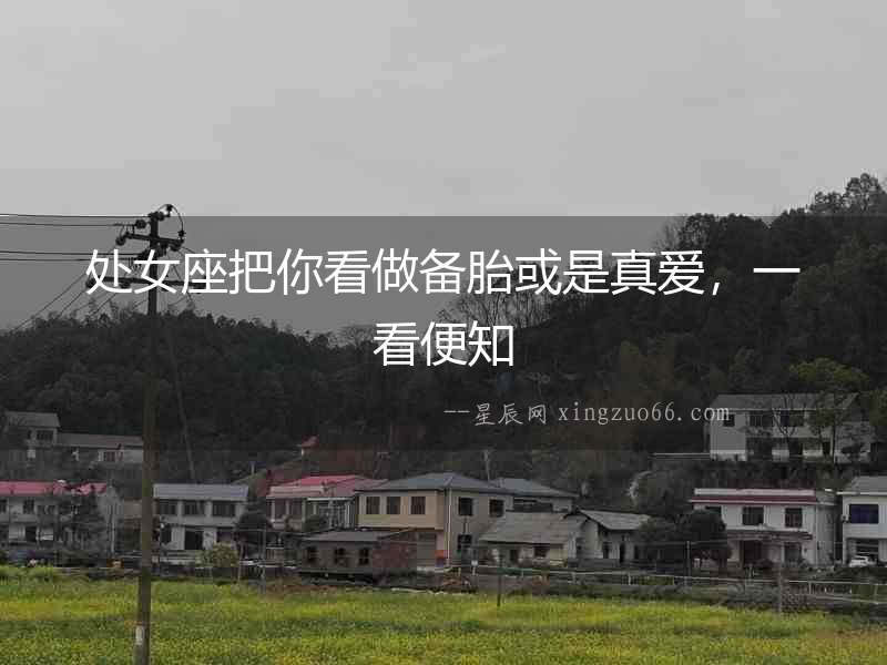 處女座把你看做備胎或是真愛，一看便知