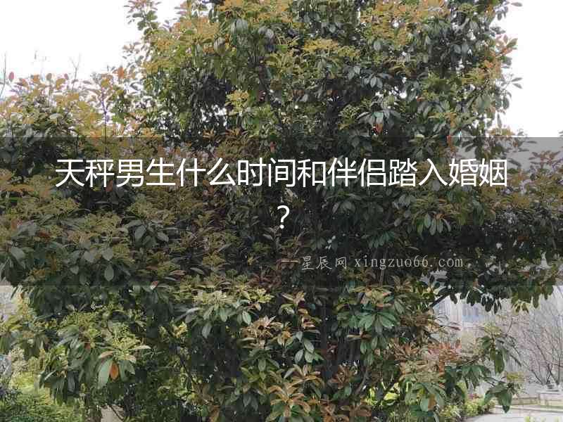 天秤男生什么時間和伴侶踏入婚姻？