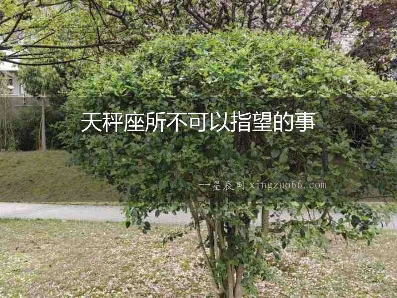 天秤座所不可以指望的事