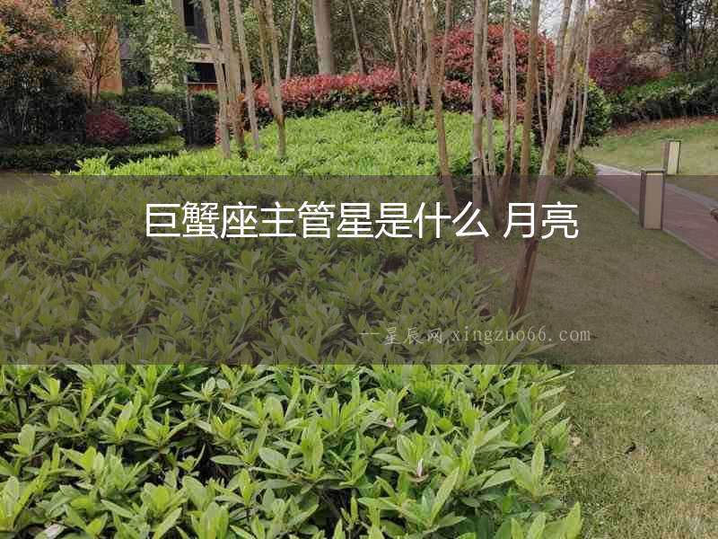 巨蟹座主管星是什么 月亮