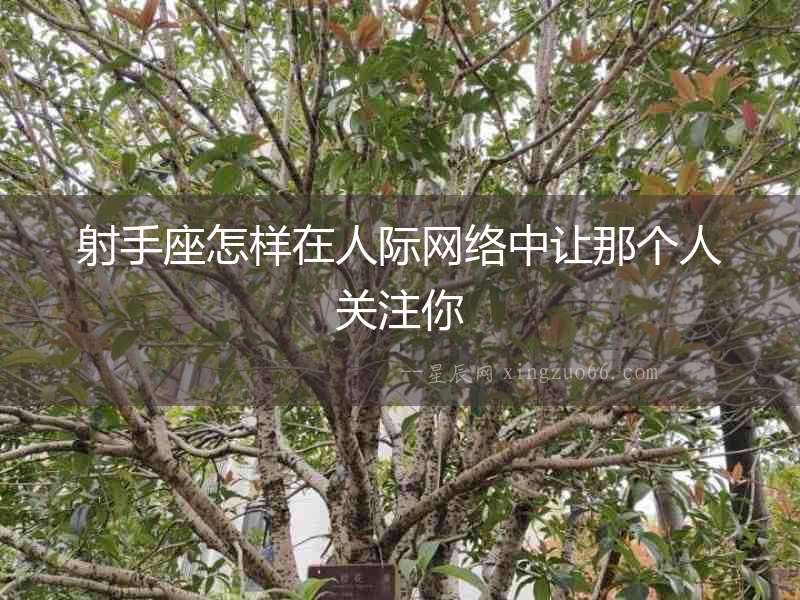 射手座怎樣在人際網絡中讓那個人關注你