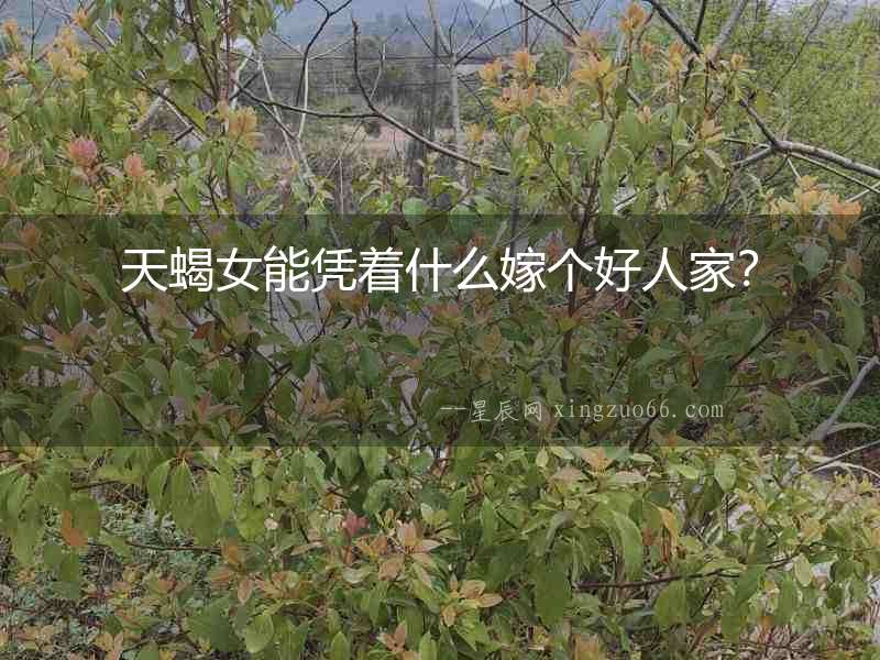 天蝎女能憑著什么嫁個好人家？