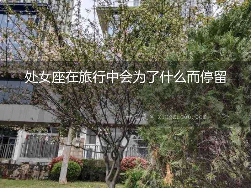 處女座在旅行中會為了什么而停留