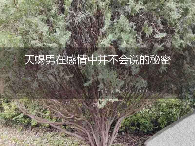 天蝎男在感情中并不會說的秘密