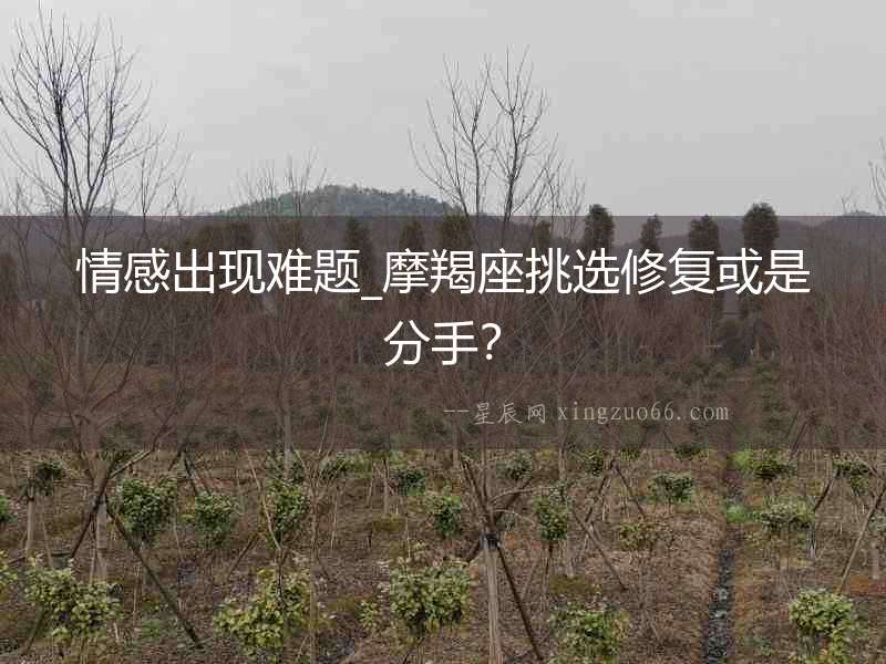 情感出現難題_摩羯座挑選修復或是分手？