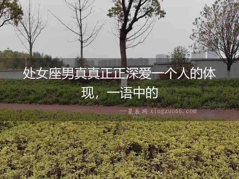 處女座男真真正正深愛一個人的體現，一語中的