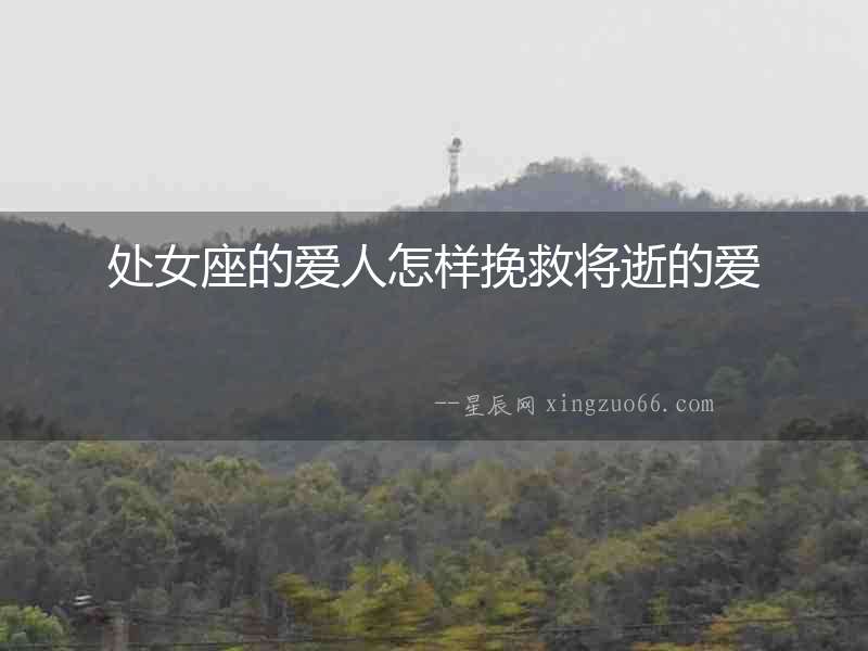處女座的愛人怎樣挽救將逝的愛