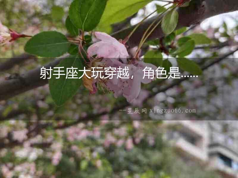 射手座大玩穿越，角色是......