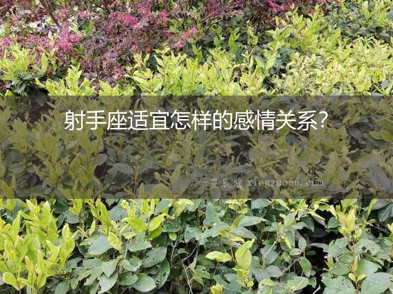 射手座適宜怎樣的感情關系？