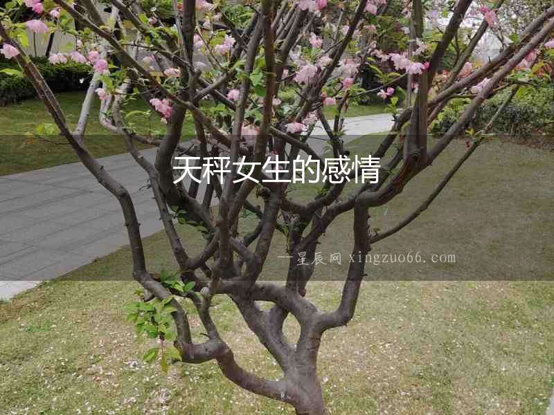 天秤女生的感情