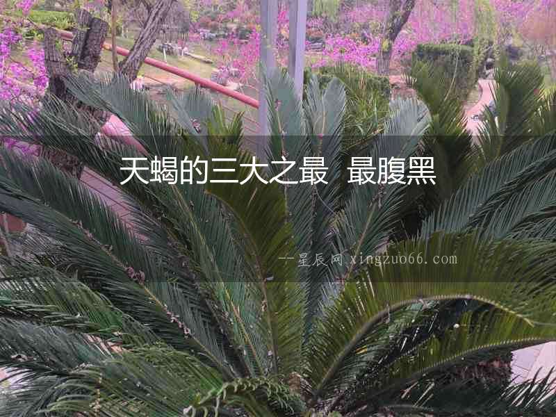 天蝎的三大之最  最腹黑