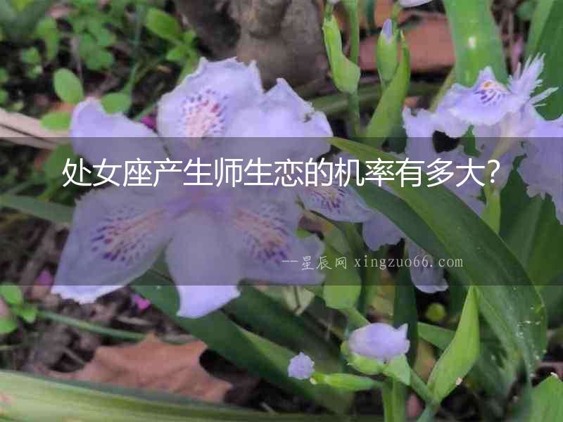 處女座產生師生戀的機率有多大？