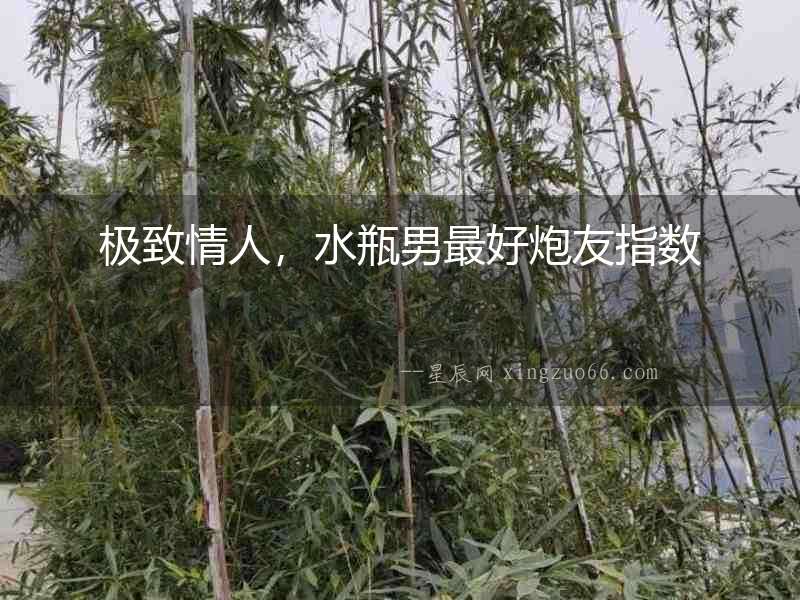 極致情人，水瓶男最好炮友指數
