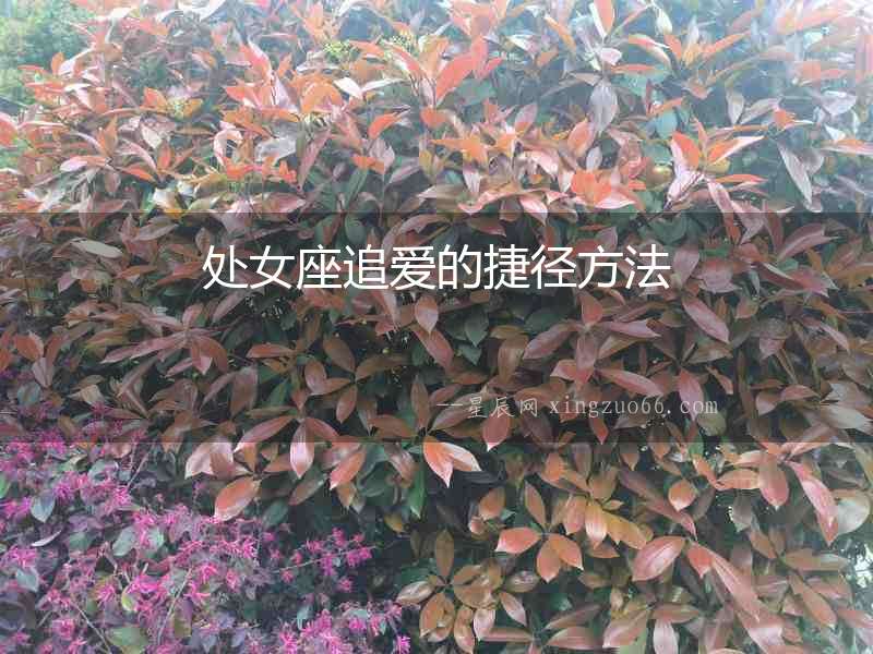 處女座追愛的捷徑方法