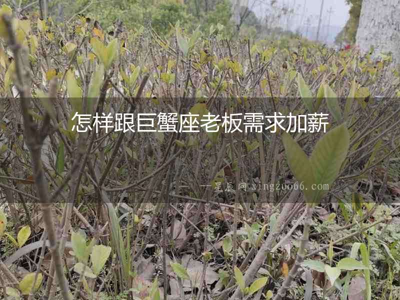 怎樣跟巨蟹座老板需求加薪
