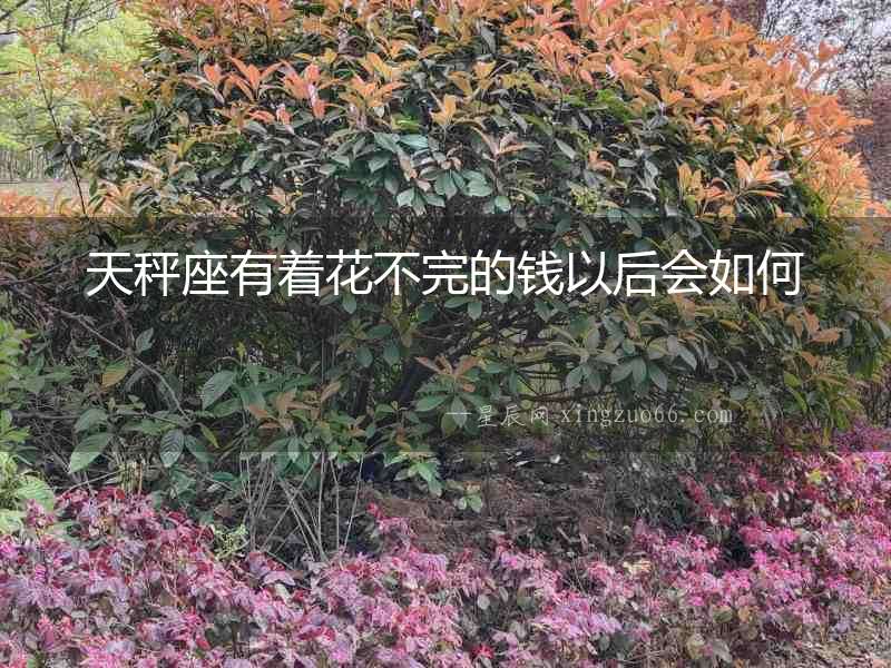 天秤座有著花不完的錢(qián)以后會(huì)如何