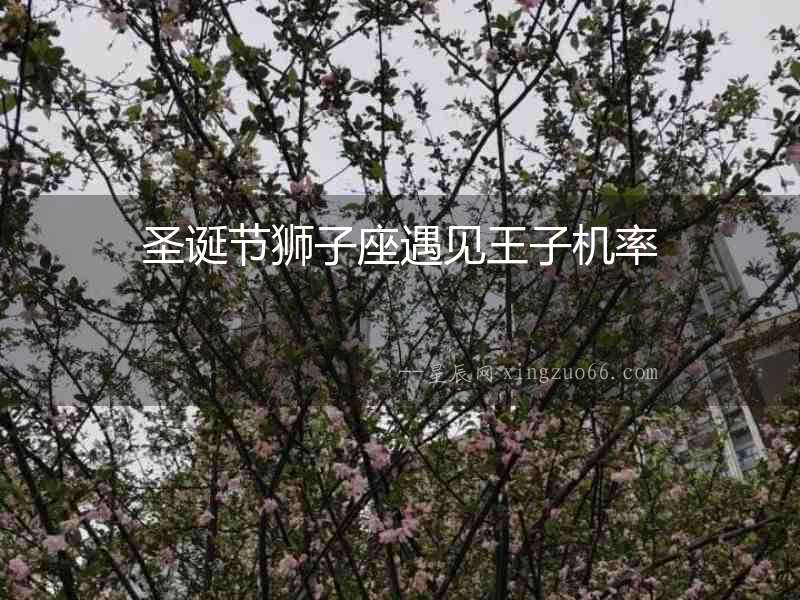圣誕節獅子座遇見王子機率